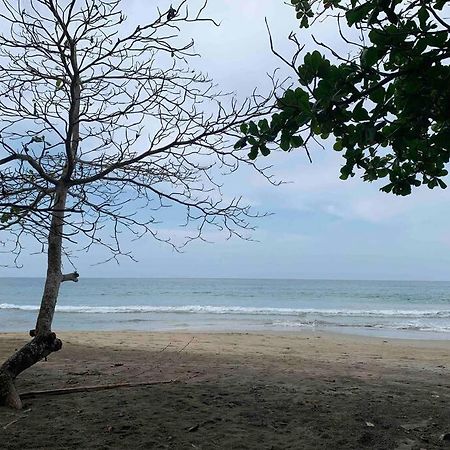 Beautiful Loft Near The Beach Appartement Manzanillo  Buitenkant foto