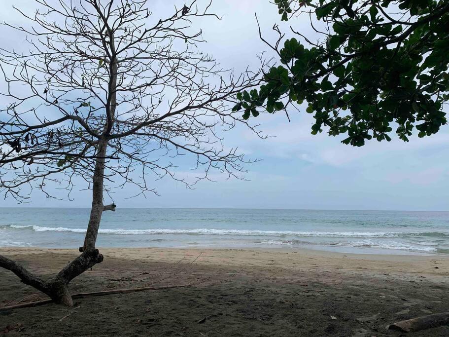 Beautiful Loft Near The Beach Appartement Manzanillo  Buitenkant foto